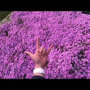 Meet your Posher, Katheren